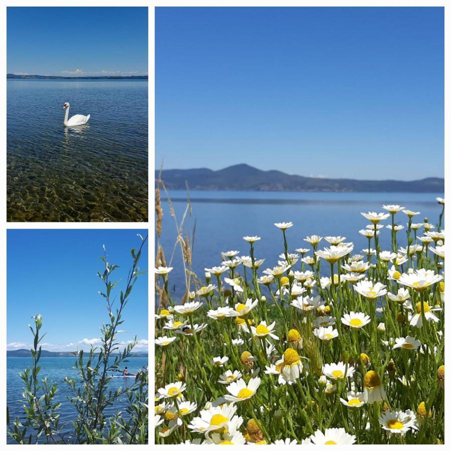Villa La Casa Nel Vicolo Bracciano  Esterno foto
